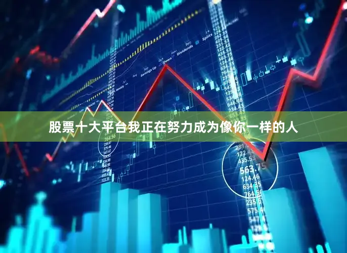 股票十大平台我正在努力成为像你一样的人