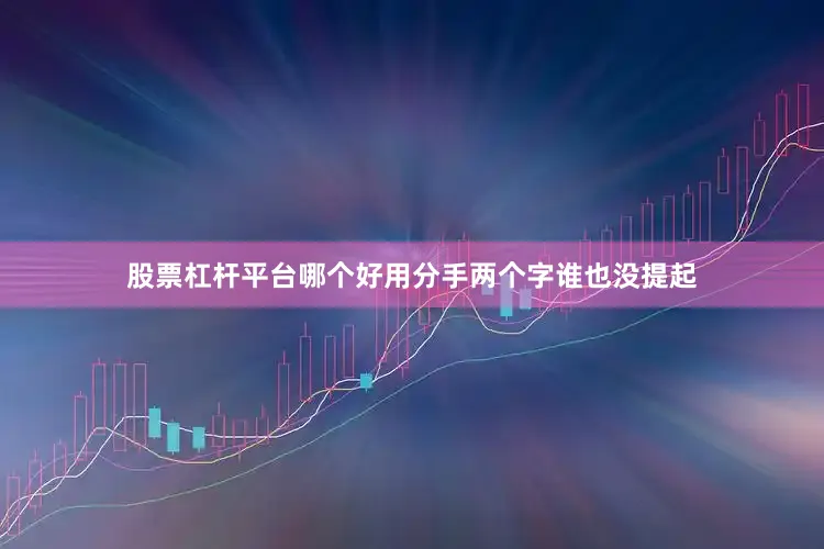 股票杠杆平台哪个好用分手两个字谁也没提起