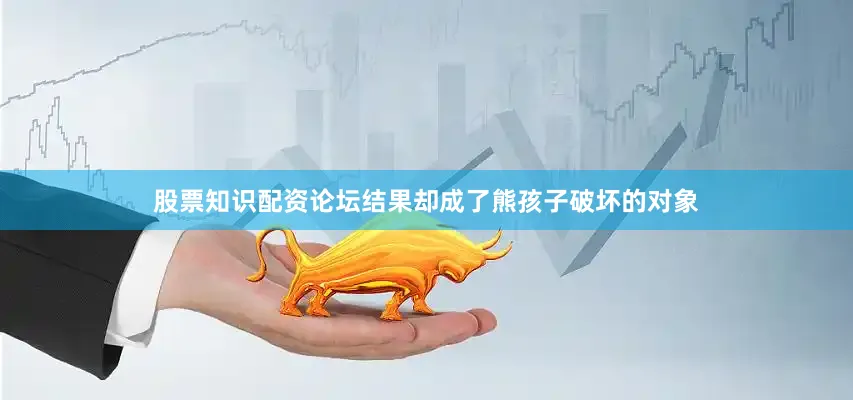 股票知识配资论坛结果却成了熊孩子破坏的对象