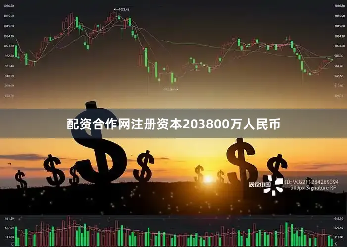 配资合作网注册资本203800万人民币