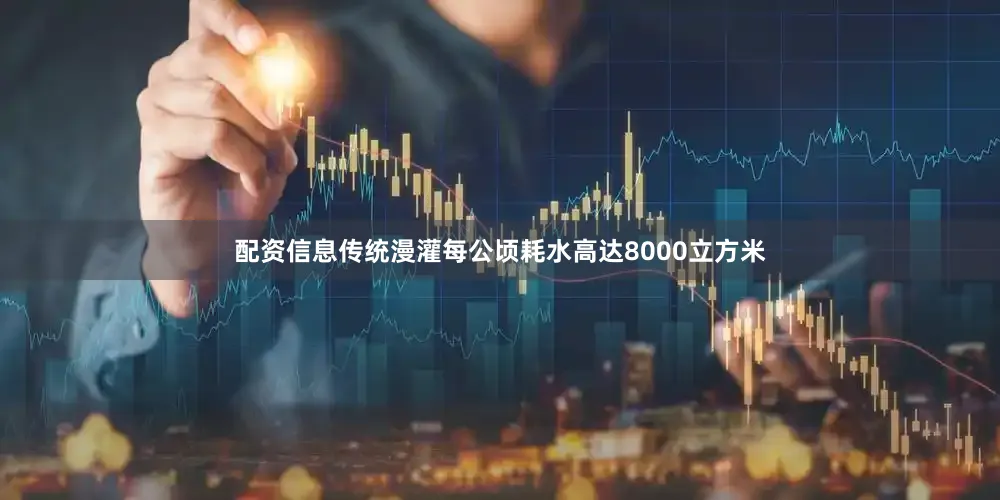 配资信息传统漫灌每公顷耗水高达8000立方米