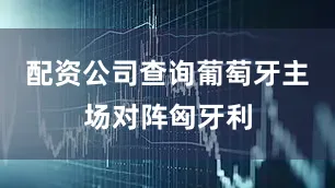 配资公司查询葡萄牙主场对阵匈牙利